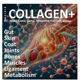 VitaPetz Collagen+, 300g