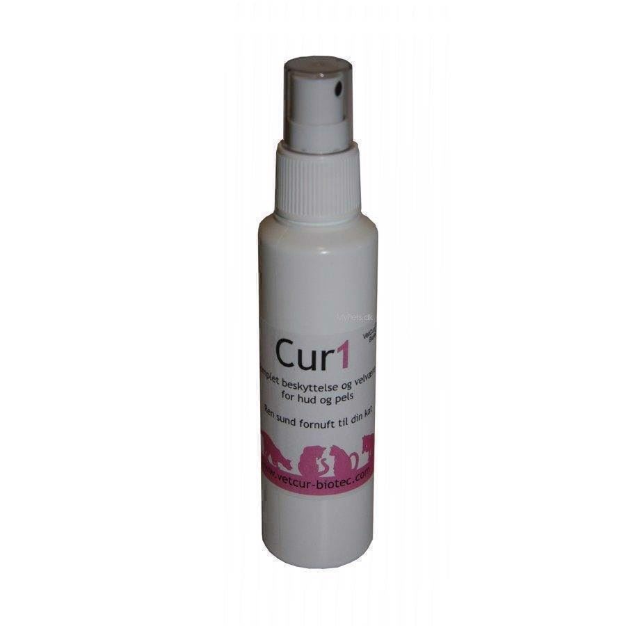 Cur1 kat