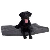 Buster Memory Foam, Large, Grå