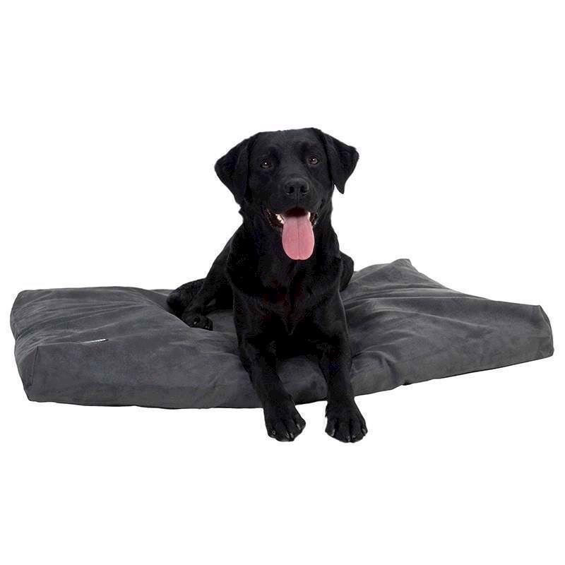 Buster Memory Foam, XL, Grå
