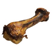 TIKKI Heste dino ben