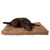 Buster Memory Foam, Large, Camel