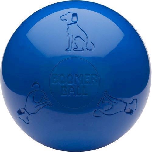 Billede af Boomer ball, 11 cm hos Hundefoder.dk