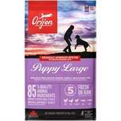 Orijen Puppy large breed